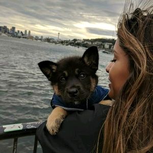 Meet your Posher, Dafne